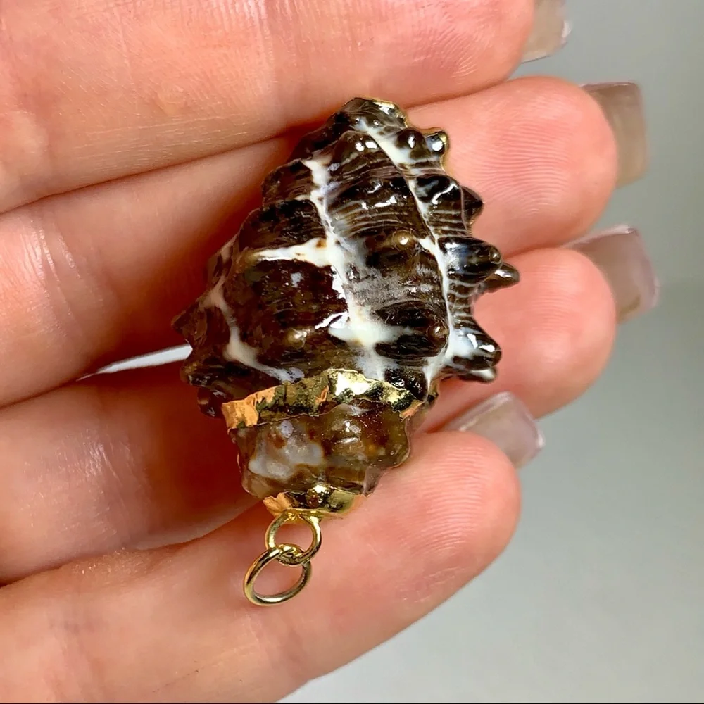 ⭐️ Gold Plated Shell ⭐️ - Picture 5 of 8